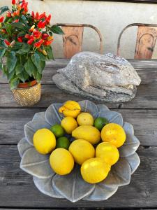 a bowl of lemons and limes on a table at La Maison de Fabienne in Tarascon