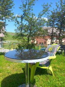 Zahrada ubytování Studio apartman Dragana