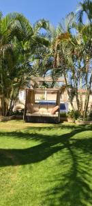 a couch sitting in a yard with palm trees at Condo in a Private Resort setting King Maryout Alamriyah Governorate Egypt Comes with an outdoor private infinity swimming pool with a large garden Borg Alarb International Airport is 15 minutes in Alexandria