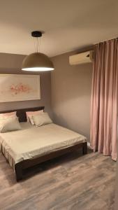 Cama ou camas em um quarto em Apartment Dmitr Petrovac