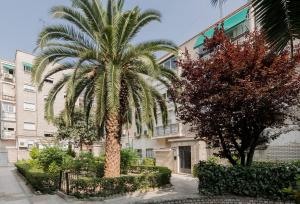 een palmboom voor een gebouw bij Living Caja Mágica in Madrid