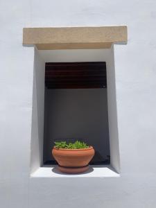 a plant in a pot in a white wall at Siroco Patmos Agriolivadi in Patmos