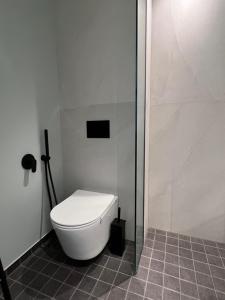 a white toilet in a bathroom with a shower at Saue Apartment in Haapsalu +9 photos