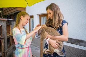 Domácí mazlíčci ubytovaní s hosty v ubytování Der Ballhaushof