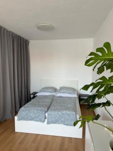 Postel nebo postele na pokoji v ubytování Apartmán ERUDITO XXVI centrum Jihlava