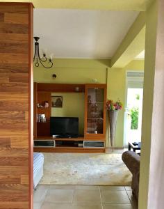 Μια τηλεόραση ή/και κέντρο ψυχαγωγίας στο Grlica