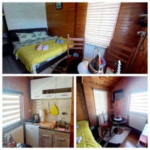 Kuchyň nebo kuchyňský kout v ubytování Studio apartman Dragana