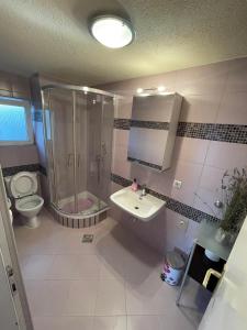 uma casa de banho com um chuveiro, um WC e um lavatório. em Villa Hercegovina em Sveti Filip i Jakov