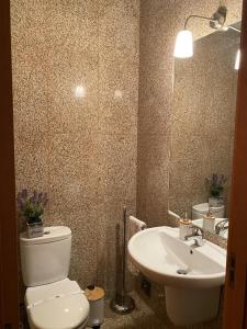 W łazience znajduje się toaleta, umywalka i lustro. w obiekcie Viseu Home w mieście Viseu
