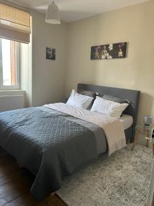 una camera da letto con un grande letto con un piumone grigio di Les Ramandes Appartements au cœur du village a Marcillac-la-Croisille