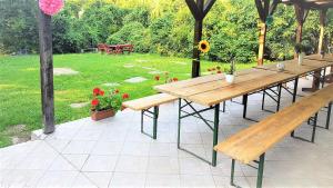 Zahrada ubytování Muskátli Vendégház + 30 fotografií