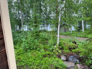 Gambar di galeri bagi Koivuisenranta di Kalmari