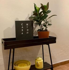 un estante con una planta y un libro y una olla en Townhouse in Canillas de Aceituno, en Canillas de Aceituno
