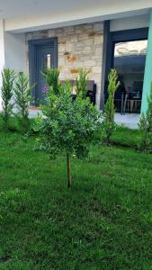 a small tree in the grass in front of a house at Danielli Luxury Villas in Skala Rachoniou