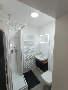 ein Bad mit einer Dusche, einem WC und einem Waschbecken in der Unterkunft Lofty Maisonette Wohnung, A Lage, Messenähe in Essen
