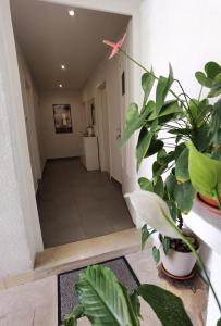 Imagen de la galería de Apartment Jadranka, en Makarska