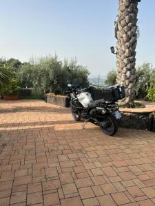 una motocicleta estacionada junto a una palmera en la Tana di Luna, en Adrano
