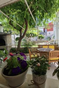 Zahrada ubytování Apartment Jadranka