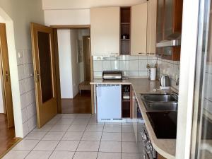 Kuchyňa alebo kuchynka v ubytovaní Apartman Brankica