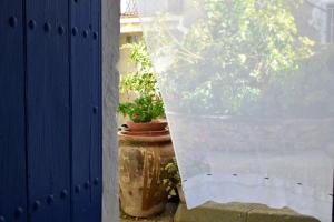 une fenêtre avec deux plantes en pot dans un pot dans l'établissement La Casita Azul - Casa típica andaluza, à Albuñol