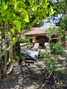 een achtertuin met een bank en een huis bij Casa Rural Amapola in San Andrés