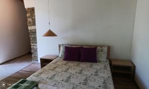 a bedroom with a bed with purple pillows at Граничар 3 СЪРФА in Granichar
