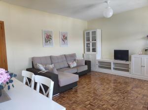 a living room with a couch and a tv at La Casa del Valle 2 in Soncillo