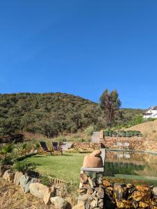 a sheep laying next to a pool of water at Finca Bravo in Cortegana