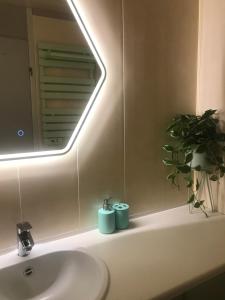 a bathroom sink with a mirror and a potted plant at Studio Bee Home in De Haan +39 photos