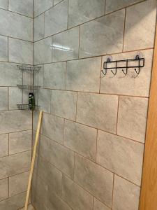 a bathroom with a shower with a tile wall at Drozdí hnízdo in Horní Břečkov