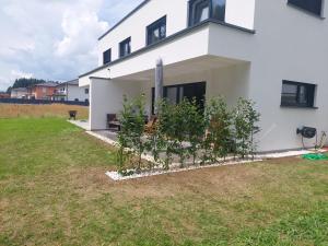 Κήπος έξω από το PR Apartment