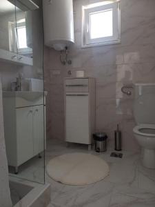 uma casa de banho com um lavatório, um WC e uma janela. em Apartman Flora Vrdnik em Vrdnik