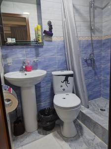 uma casa de banho com um WC e um lavatório em LiViTi em Areni