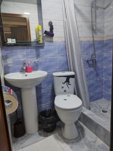 a bathroom with a toilet and a sink at LiViTi in Areni