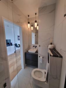a bathroom with a toilet and a sink at Apartament z widokiem na jezioro in Charzykowy
