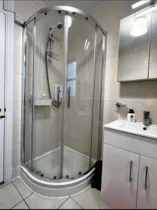 bagno con doccia e lavandino di Guest Apartment a Dublino