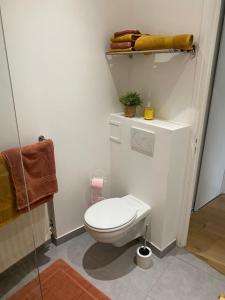 une salle de bain avec toilettes et douche dans l'établissement Chez Jérôme, à Lille 2 autres photos