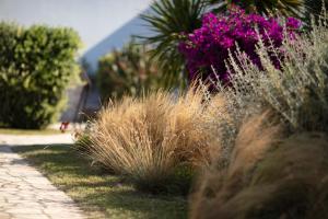a garden with tall grass and purple flowers at Hotel Resort Mulino a Vento in Uggiano la Chiesa