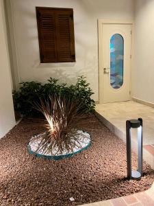 Imagen de la galería de IMMYS, en Seferihisar