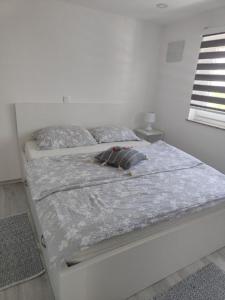Katil atau katil-katil dalam bilik di Apartma Lara