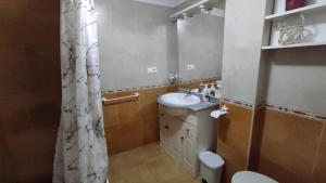 a bathroom with a sink and a toilet and a shower curtain at Apartamento terra1 in Caldas de Reis