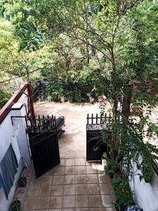 Κήπος έξω από το Emily's place in unawatuna