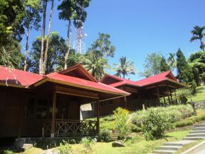 Gallery image of Highland Resort & Nature Tours in Tomohon