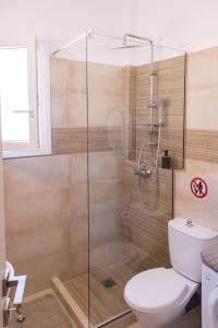 een badkamer met een toilet en een glazen douche bij Elegia Apartment in Mantoúkion