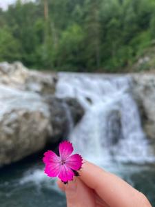 una persona sosteniendo una flor rosa frente a una cascada en Bungalovi Menzil en Zavidovići