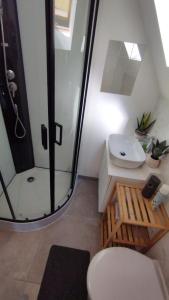 a bathroom with a shower and a toilet and a sink at The 16th Century Duplex in The City Center in Antwerp