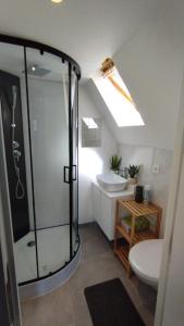 a bathroom with a shower and a toilet and a sink at The 16th Century Duplex in The City Center in Antwerp