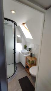 a bathroom with a shower and a toilet and a sink at The 16th Century Duplex in The City Center in Antwerp