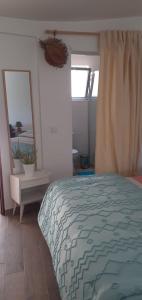 a bedroom with a large bed and a mirror at Cantinho dos moinhos in Figueira da Foz