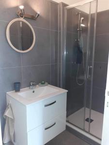 een badkamer met een wastafel en een douche met een spiegel bij Studio 400m de la mer in Lancieux